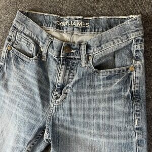 James Jeans Men's Straight Jeans in Light Blue
